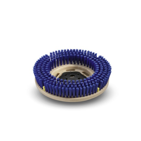 Szczotka BD 60/95 RS 12" niebieska/średnia