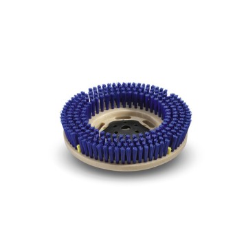 Szczotka BD 60/95 RS 12" niebieska/średnia